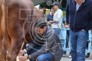  El alcalde de Telde se va con 'Rosita' (Foto TA)